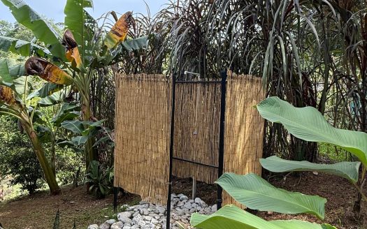 Costa Rica Jungle View Home with Pool & Guest Apartment – Price Reduced to $239,000 in Puerto Jiménez