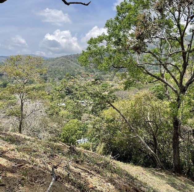 Community with 3758m2 lot and 2 of 7000m2 at $149