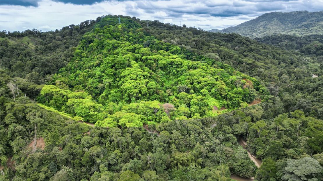 Incredible 30.4 Hectare Finca near Manuel Antonio for the Best Price - Ocean Views