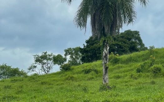 Unique Property for Sale in the Heart of Turrubares – 11 Hectares with Stunning Views 🌄