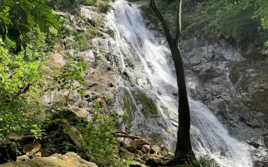 Nandayure