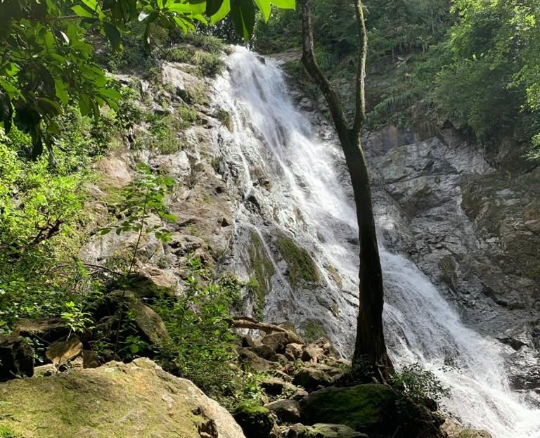 Nandayure