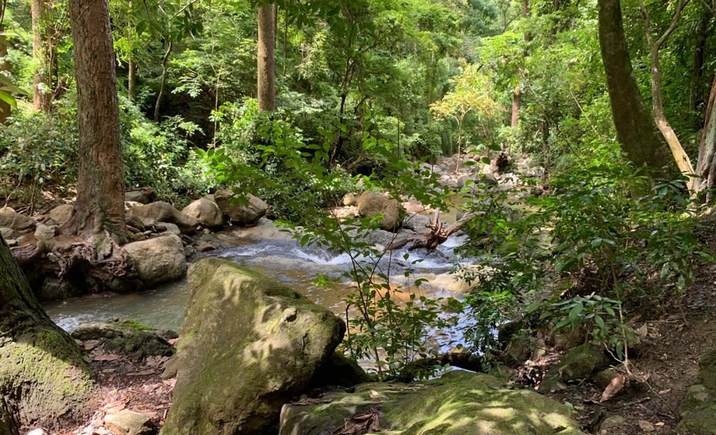 Costa Rica Real Estate