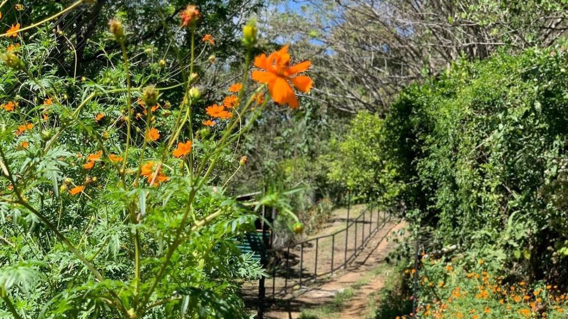 Costa Rica Real Estate