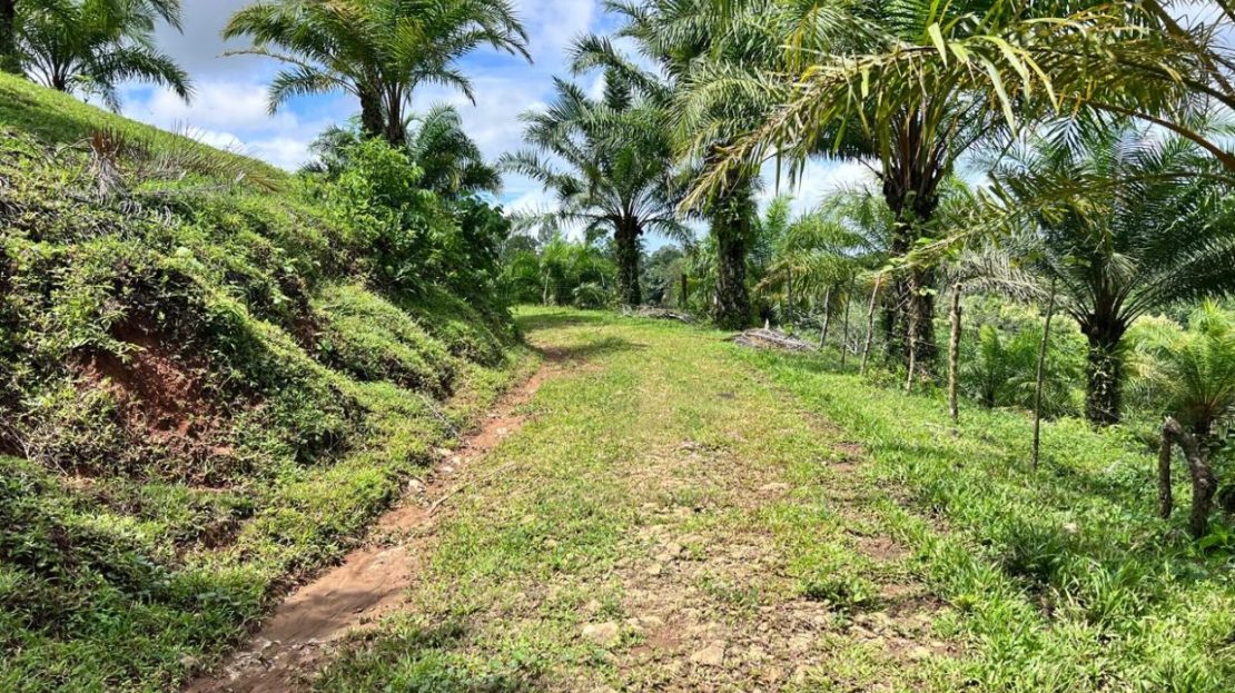 Costa Rica Real Estate