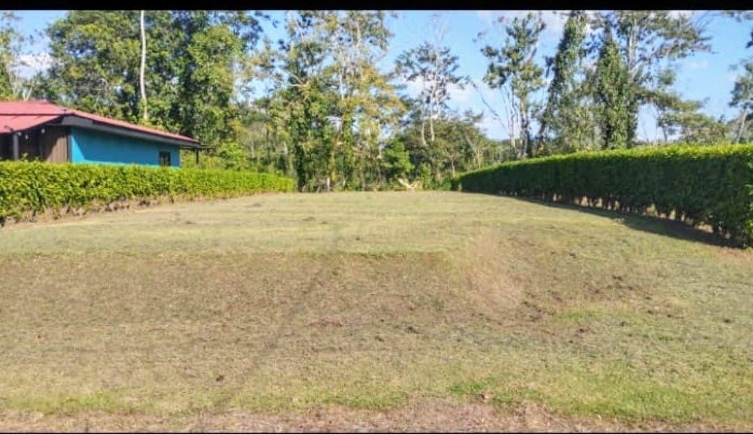 Costa Rica Real Estate