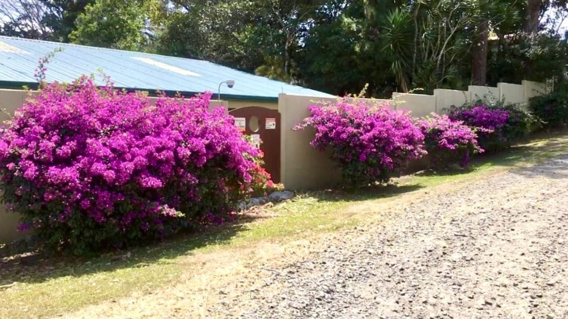 Well-Built 3BR Home on 0.7 Acres in San Luis