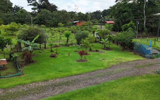 Spacious Property with Fruit Trees and Home for Sale – $79,500