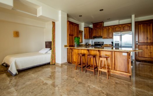 Spectacular Mountain View Condo (12-2-2-4)