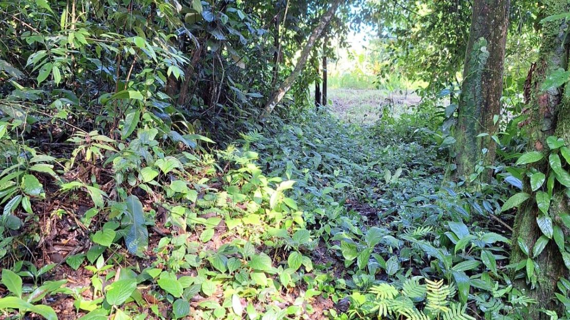 Costa Rica Real Estate