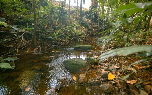 Vacant Land in Villa Nueva. Quepos