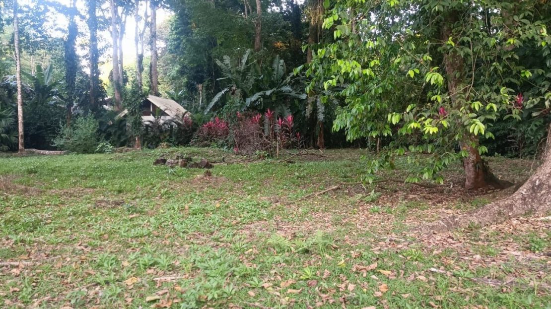 Lot for Sale Near Playa Negra
