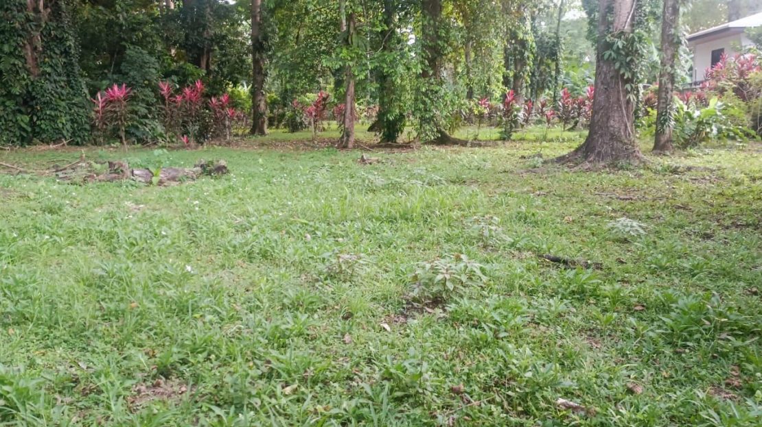 Costa Rica Real Estate