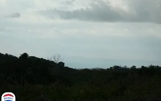 Golfito>Pavones Real Estate