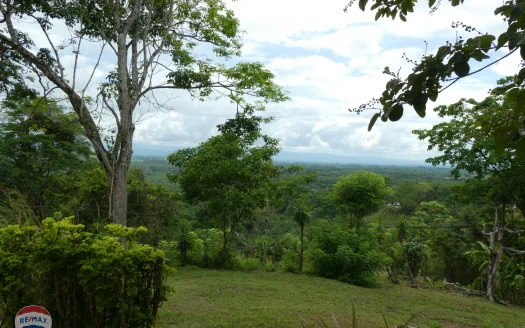 Golfito>Pavones Real Estate