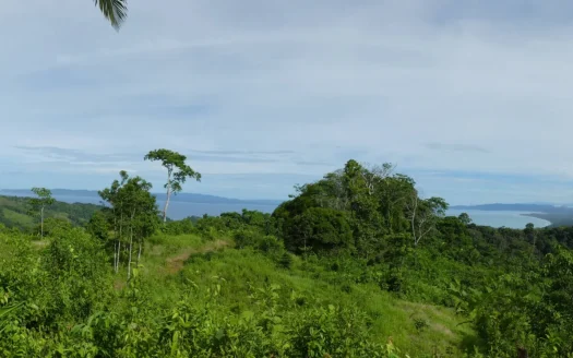 Golfito>Pavones Real Estate