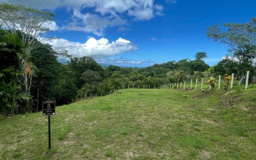 Golfito>Pavones Real Estate