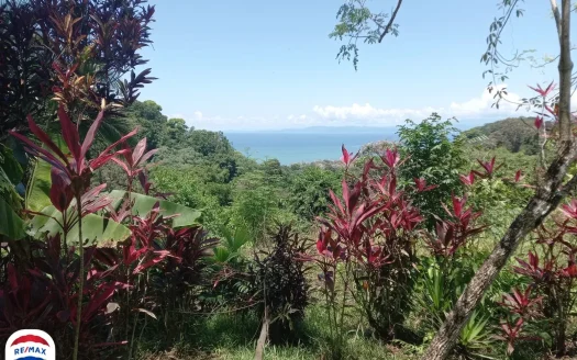 Golfito>Pavones Real Estate