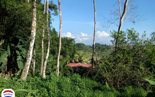 Golfito>Pavones Real Estate