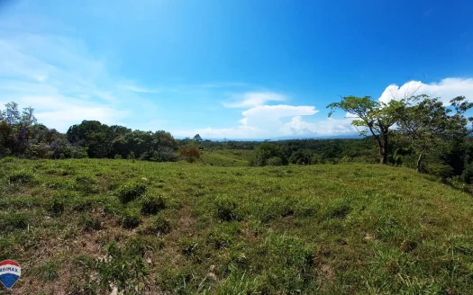 Golfito>Pavones Real Estate