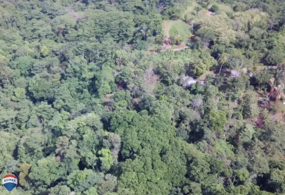 Puntarenas Real Estate