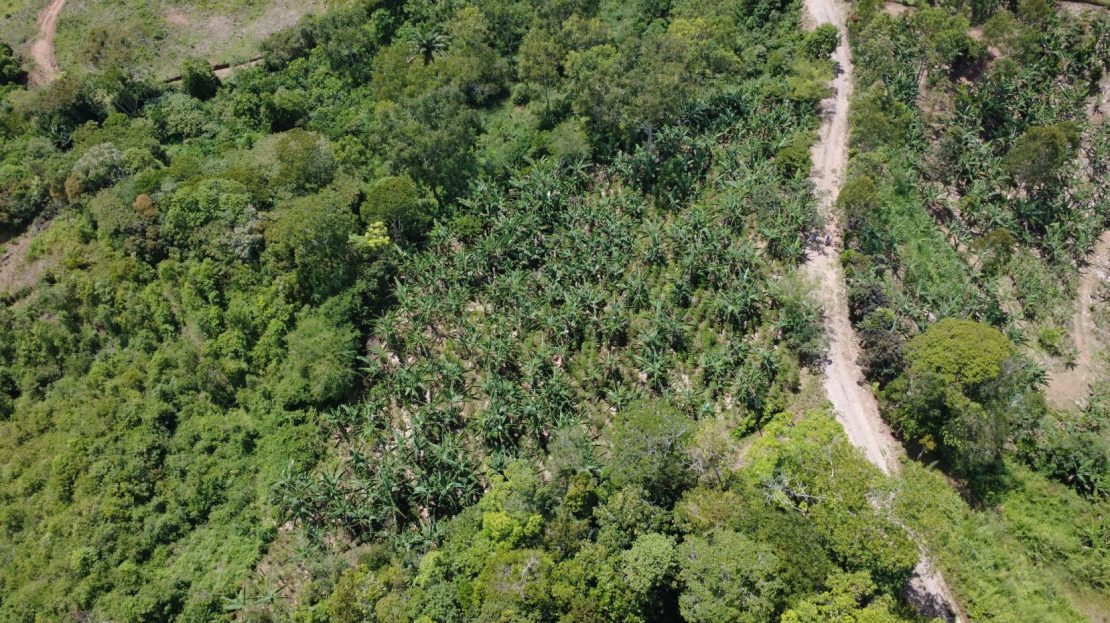 Costa Rica Real Estate