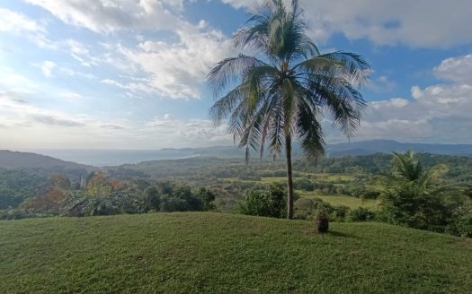 1.5ha Property with House, Gardens & Stunning Pacific Views