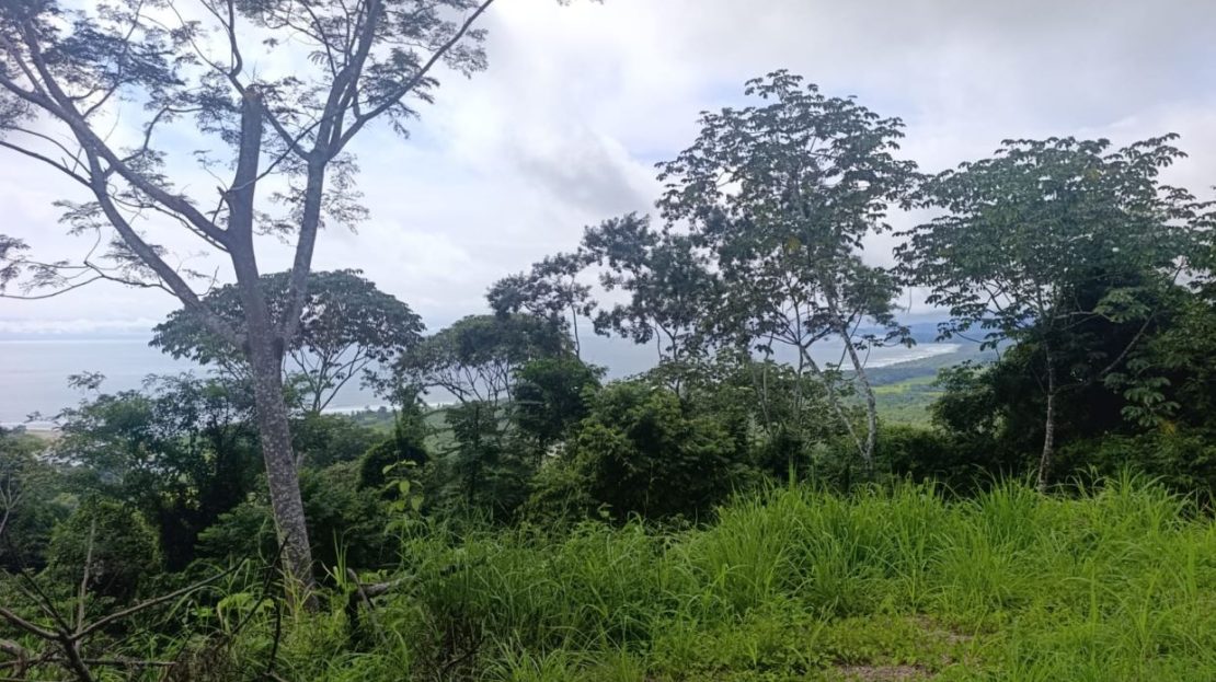 Costa Rica Real Estate