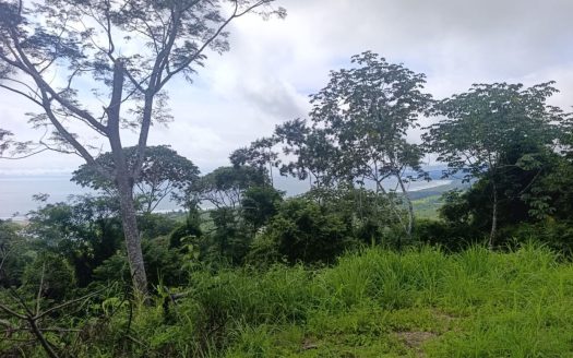 Ocean View Lot Near Coyote Beach – 1.1ha with Spectacular Pacific Views