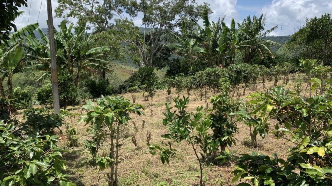 Costa Rica Real Estate