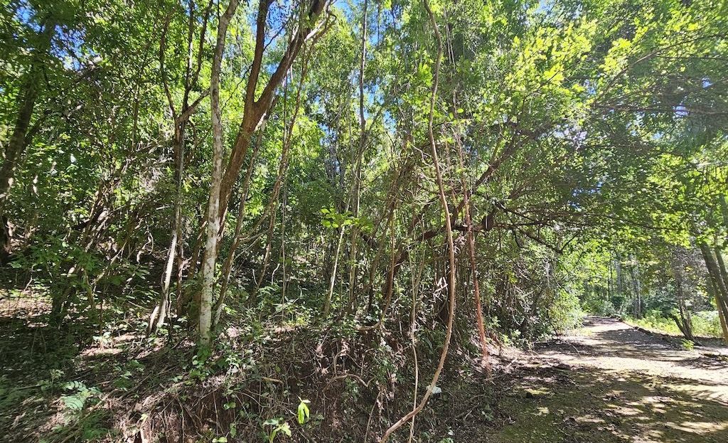 Rancho Las Colinas ~ Charming Rural Lot Minutes from the Coast