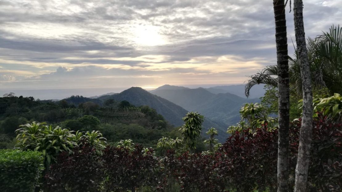 11.5ha Estate with Colonial Home