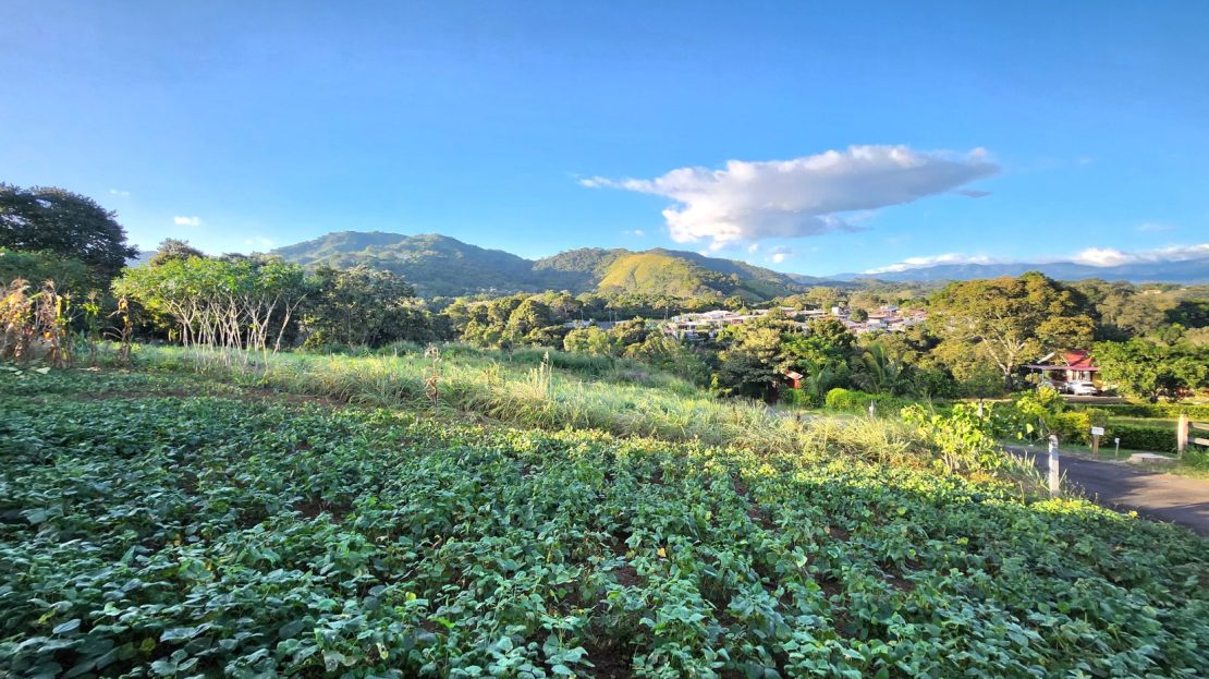 100% usable lot with views of the valley and mountains