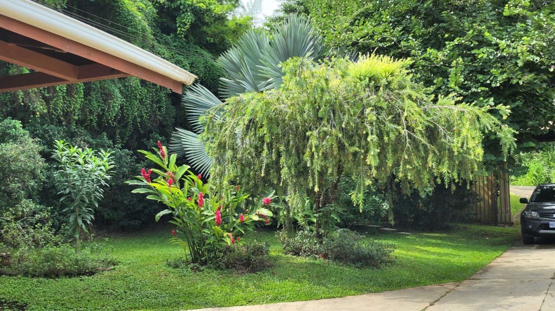 House with excellent location