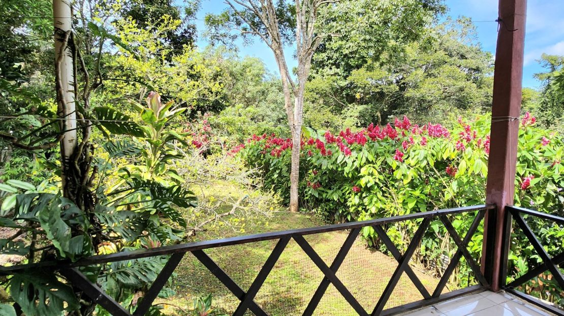 Cozy furnished house with garden