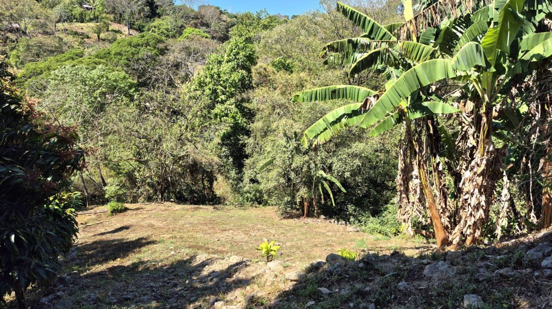 Costa Rica Real Estate