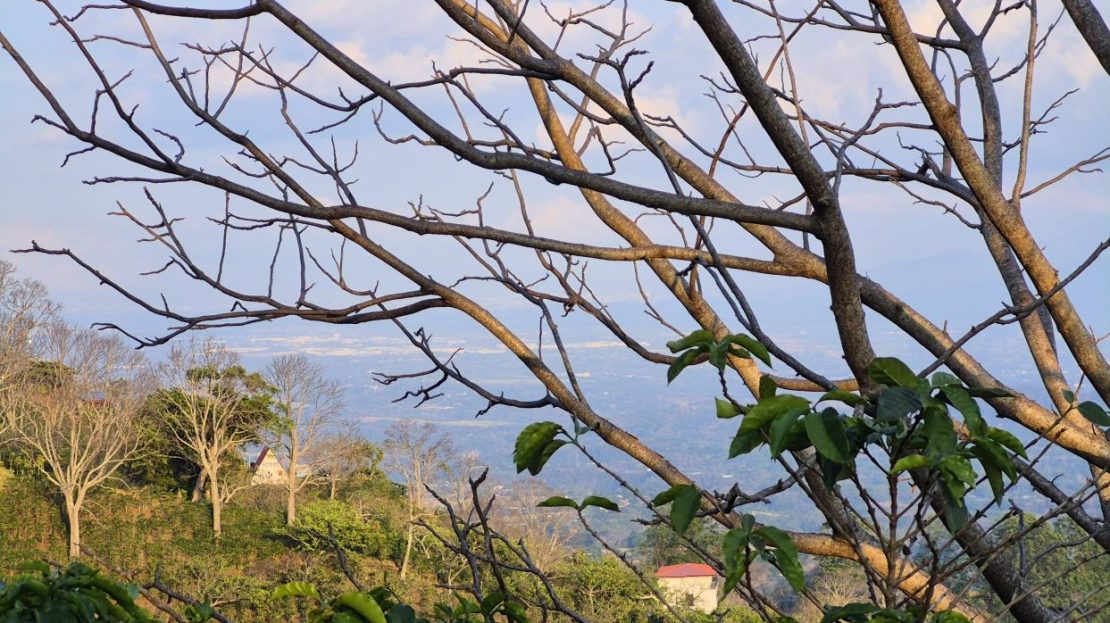 1.45 acres of land with amazing views in Atenas 3600 ft elevation