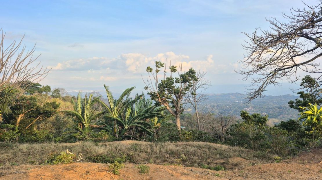 Costa Rica Real Estate