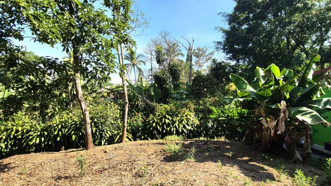 Usable lot ready to build Los Angeles