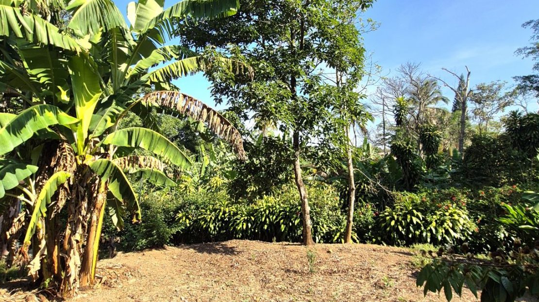 Costa Rica Real Estate