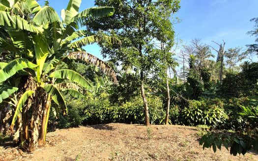 Usable lot ready to build Los Angeles, Atenas