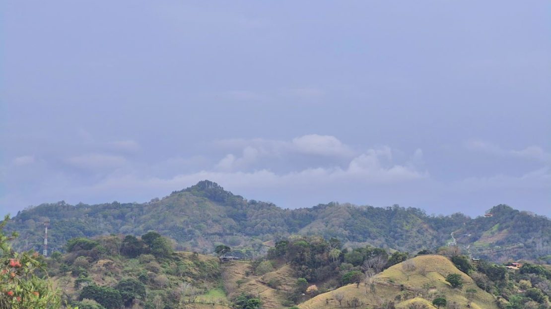 Well-built wooden home with green areas and a nice view