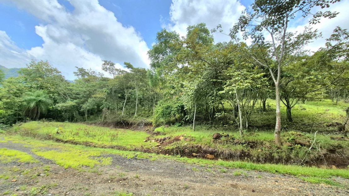 or Retirement Haven in Atenas - 7.8 Acres of Opportunity