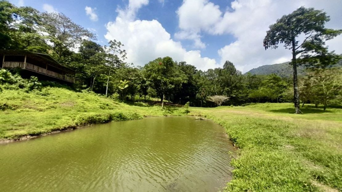 Rare 58-Hectare Rainforest Property with Waterfalls & Eco-Lodge - Carbon Credit & ESG Investment Potential Near La Fortuna