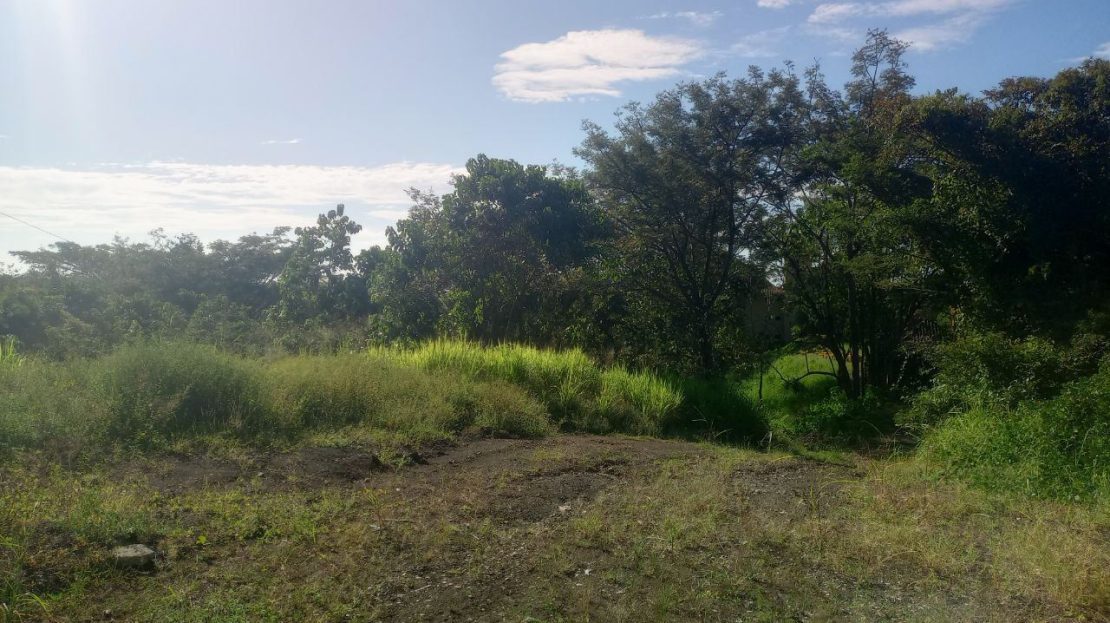 Costa Rica Real Estate