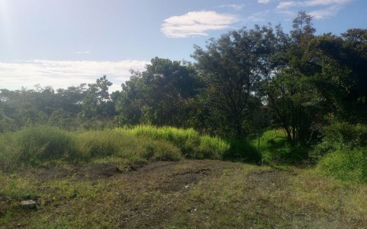 1.1ha Ocean View Lot near San Miguel Beach – Build Your Dream Home in a Blue Zone Paradise