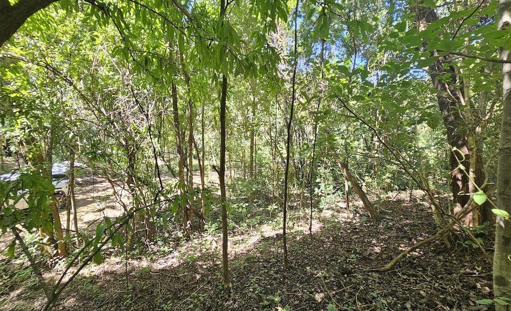 Costa Rica Real Estate