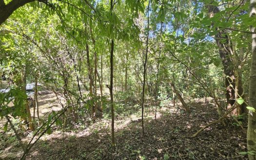 Rancho Las Colinas ~ Charming Rural Lot Minutes from the Coast