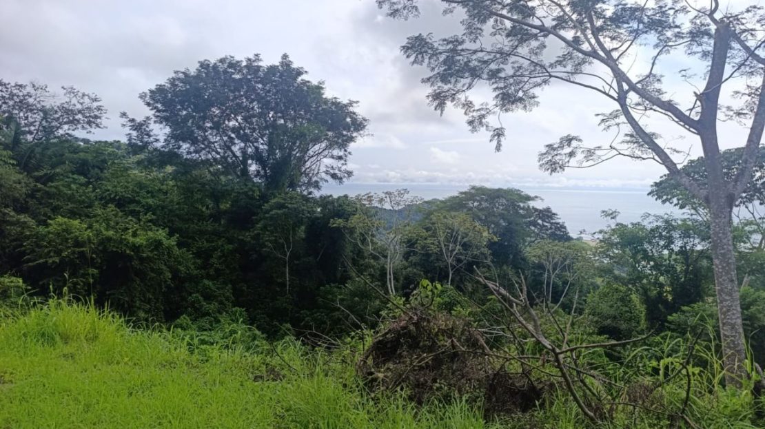 Ocean View Lot Near Coyote Beach – 1.1ha with Spectacular Pacific Views