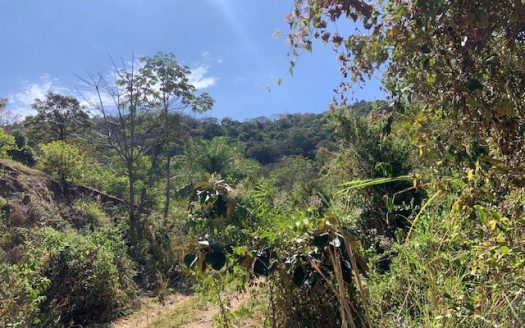 465,768m2 (116m2) with existing permits to develop – Barrueta, Atenas, Alajuela